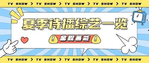 娱乐吃瓜营销号